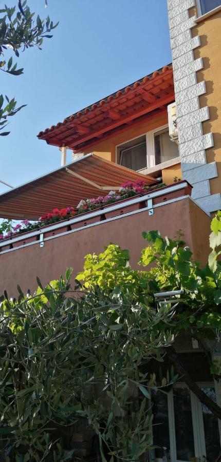 Villa Kuca Za Odmor Vista Mare à Marinici  Extérieur photo