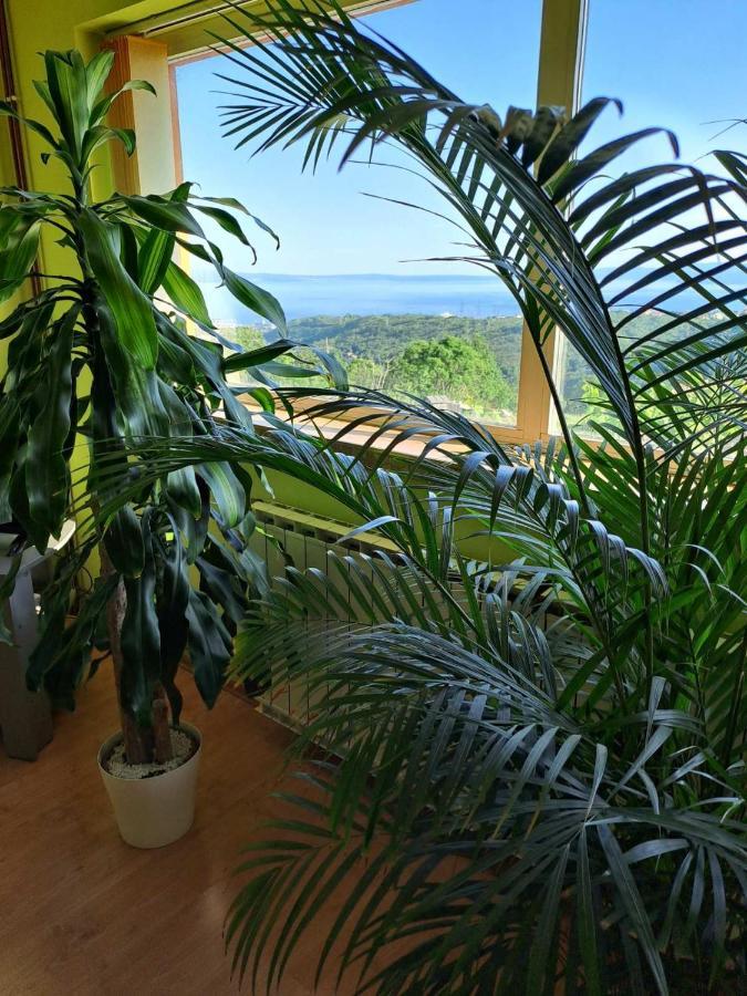 Villa Kuca Za Odmor Vista Mare à Marinici  Extérieur photo